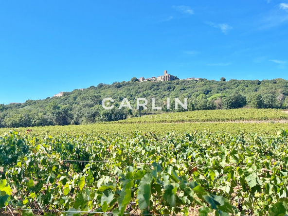 37f8e94c2efef20fee484a61f6a881c8_729a1069ce_1920-original-59757