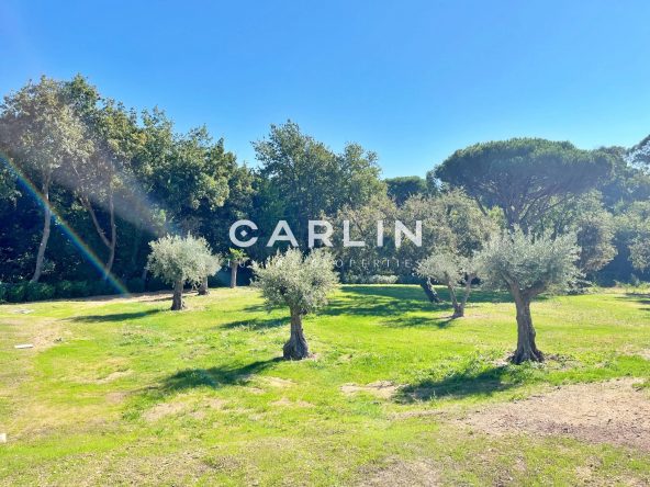 d01e008b82e11c1aa4141884b75cfbd6_fb16667a31_1920-original-59702