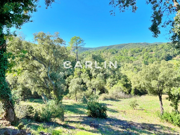 83b6dc9ab5ad7373f2cd7f72032b3330_618bcfe5a7_1920-original-60240